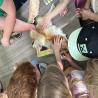 images/mindennapok/IMG_0178.jpg