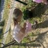 images/mindennapok/IMG_0289.jpg