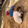images/mindennapok/IMG_0361.jpg